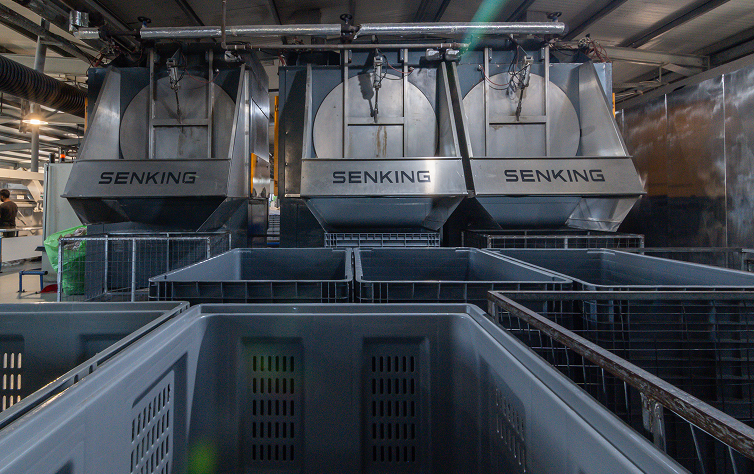 ΒΙΑΠ Α.Ε. - ΒΙΟΜΗΧΑΝΙΚΑ ΠΛΥΝΤΗΡΙΑ ΡΟΥΧΩΝ & ΒΑΦΕΙΑ