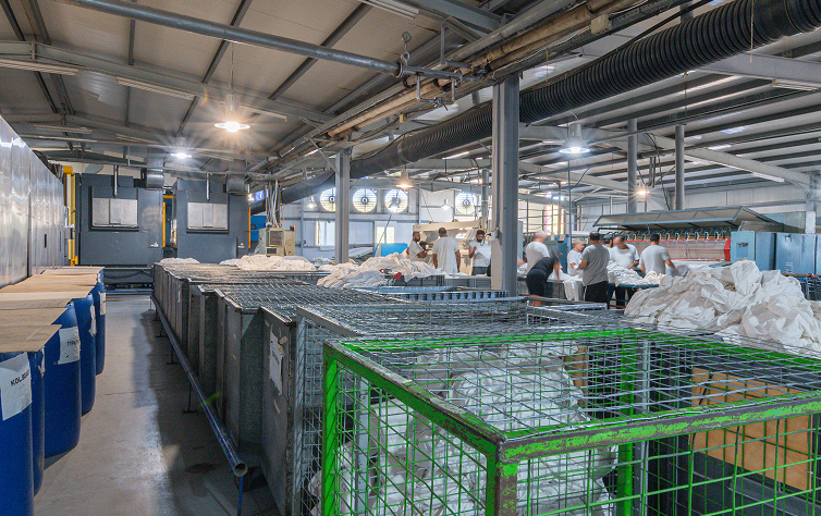 ΒΙΑΠ Α.Ε. - ΒΙΟΜΗΧΑΝΙΚΑ ΠΛΥΝΤΗΡΙΑ ΡΟΥΧΩΝ & ΒΑΦΕΙΑ