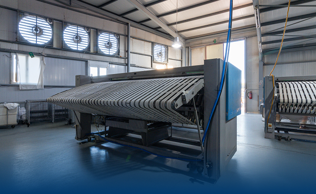 ΒΙΑΠ Α.Ε. - ΒΙΟΜΗΧΑΝΙΚΑ ΠΛΥΝΤΗΡΙΑ ΡΟΥΧΩΝ & ΒΑΦΕΙΑ